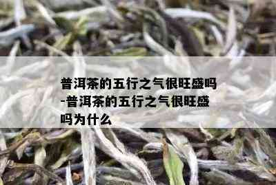 普洱茶的五行之气很旺盛吗-普洱茶的五行之气很旺盛吗为什么