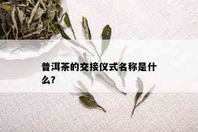 普洱茶的交接仪式名称是什么？