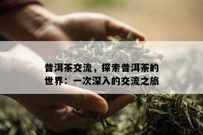 普洱茶交流，探索普洱茶的世界：一次深入的交流之旅