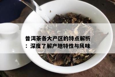 普洱茶各大产区的特点解析：深度了解产地特性与风味