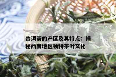 普洱茶的产区及其特点：揭秘西南地区独特茶叶文化