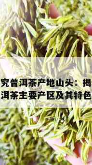 探究普洱茶产地山头：揭秘普洱茶主要产区及其特色