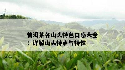 普洱茶各山头特色口感大全：详解山头特点与特性