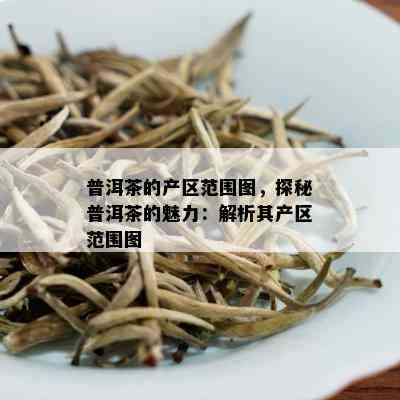 普洱茶的产区范围图，探秘普洱茶的魅力：解析其产区范围图