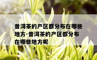 普洱茶的产区都分布在哪些地方-普洱茶的产区都分布在哪些地方呢