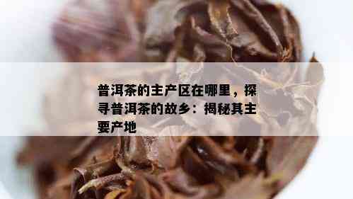 普洱茶的主产区在哪里，探寻普洱茶的故乡：揭秘其主要产地