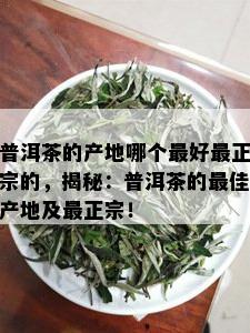 普洱茶的产地哪个更好最正宗的，揭秘：普洱茶的更佳产地及最正宗！