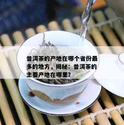 普洱茶的产地在哪个省份最多的地方，揭秘：普洱茶的主要产地在哪里？