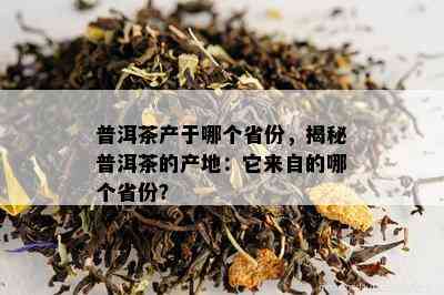 普洱茶产于哪个省份，揭秘普洱茶的产地：它来自的哪个省份？