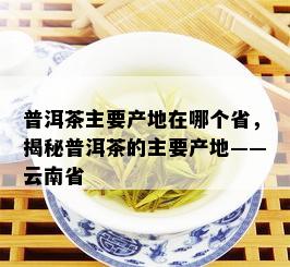 普洱茶主要产地在哪个省，揭秘普洱茶的主要产地——云南省