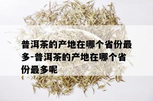 普洱茶的产地在哪个省份最多-普洱茶的产地在哪个省份最多呢