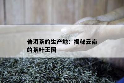 普洱茶的生产地：揭秘云南的茶叶王国