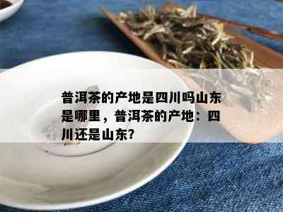 普洱茶的产地是四川吗山东是哪里，普洱茶的产地：四川还是山东？