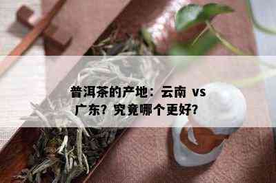 普洱茶的产地：云南 vs 广东？究竟哪个更好？