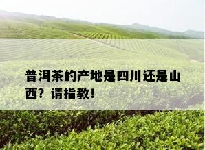 普洱茶的产地是四川还是山西？请指教！