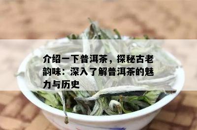 介绍一下普洱茶，探秘古老韵味：深入了解普洱茶的魅力与历史