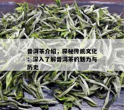 普洱茶介绍，探秘传统文化：深入了解普洱茶的魅力与历史