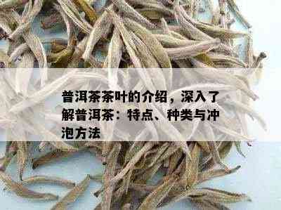 普洱茶茶叶的介绍，深入了解普洱茶：特点、种类与冲泡方法