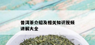 普洱茶介绍及相关知识视频讲解大全