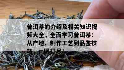 普洱茶的介绍及相关知识视频大全，全面学习普洱茶：从产地、制作工艺到品鉴技巧，一网打尽！