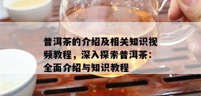 普洱茶的介绍及相关知识视频教程，深入探索普洱茶：全面介绍与知识教程