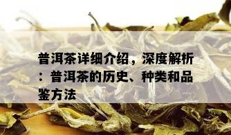 普洱茶详细介绍，深度解析：普洱茶的历史、种类和品鉴方法