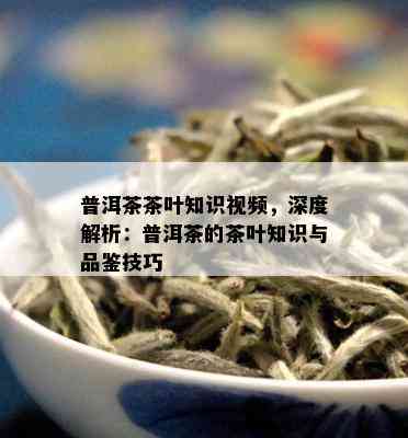 普洱茶茶叶知识视频，深度解析：普洱茶的茶叶知识与品鉴技巧