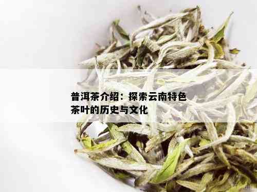 普洱茶介绍：探索云南特色茶叶的历史与文化