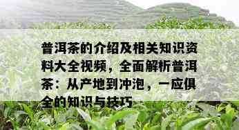 普洱茶的介绍及相关知识资料大全视频，全面解析普洱茶：从产地到冲泡，一应俱全的知识与技巧