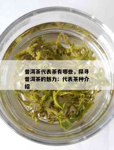 普洱茶代表茶有哪些，探寻普洱茶的魅力：代表茶种介绍