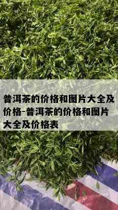 普洱茶的价格和图片大全及价格-普洱茶的价格和图片大全及价格表