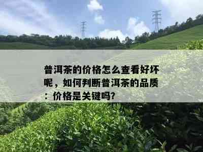 普洱茶的价格怎么查看好坏呢，如何判断普洱茶的品质：价格是关键吗？