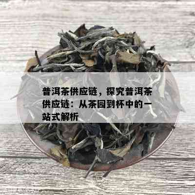 普洱茶供应链，探究普洱茶供应链：从茶园到杯中的一站式解析