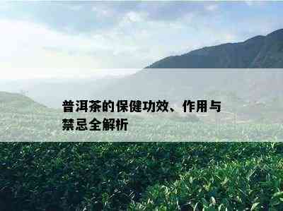 普洱茶的保健功效、作用与禁忌全解析