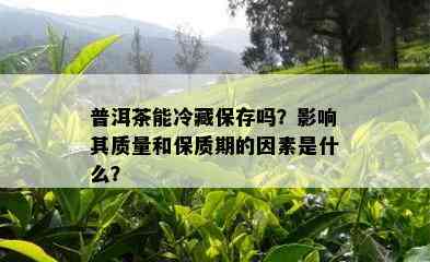 普洱茶能冷藏保存吗？影响其质量和保质期的因素是什么？