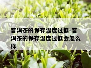 普洱茶的保存温度过低-普洱茶的保存温度过低会怎么样