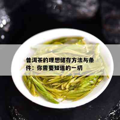 普洱茶的理想储存方法与条件：你需要知道的一切