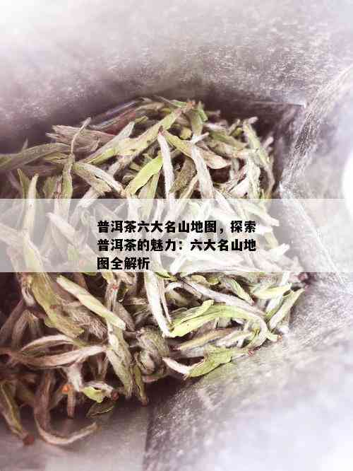 普洱茶六大名山地图，探索普洱茶的魅力：六大名山地图全解析