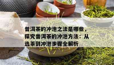 普洱茶的冲泡之法是哪些，探究普洱茶的冲泡方法：从选茶到冲泡步骤全解析