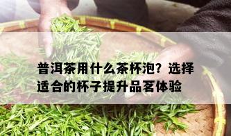 普洱茶用什么茶杯泡？选择适合的杯子提升品茗体验