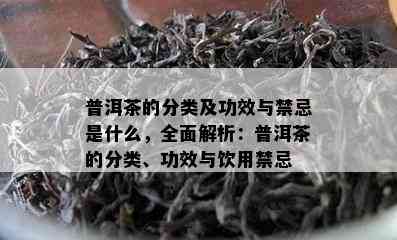 普洱茶的分类及功效与禁忌是什么，全面解析：普洱茶的分类、功效与饮用禁忌