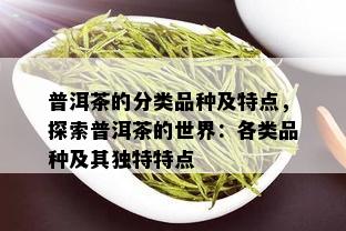 普洱茶的分类品种及特点，探索普洱茶的世界：各类品种及其独特特点