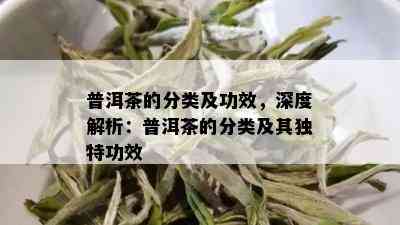 普洱茶的分类及功效，深度解析：普洱茶的分类及其独特功效