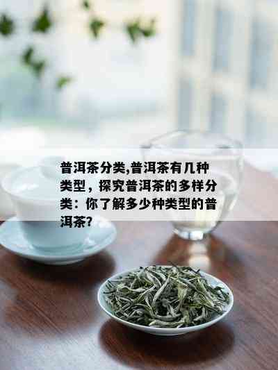 普洱茶分类,普洱茶有几种类型，探究普洱茶的多样分类：你了解多少种类型的普洱茶？