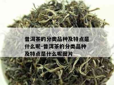 普洱茶的分类品种及特点是什么呢-普洱茶的分类品种及特点是什么呢图片