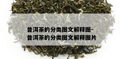 普洱茶的分类图文解释图-普洱茶的分类图文解释图片