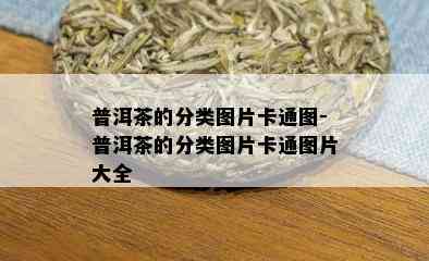 普洱茶的分类图片卡通图-普洱茶的分类图片卡通图片大全