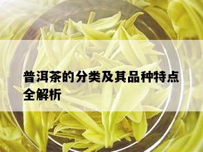 普洱茶的分类及其品种特点全解析