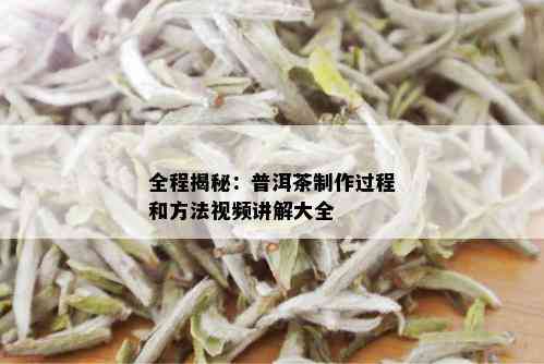 全程揭秘：普洱茶制作过程和方法视频讲解大全