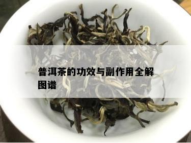 普洱茶的功效与副作用全解图谱